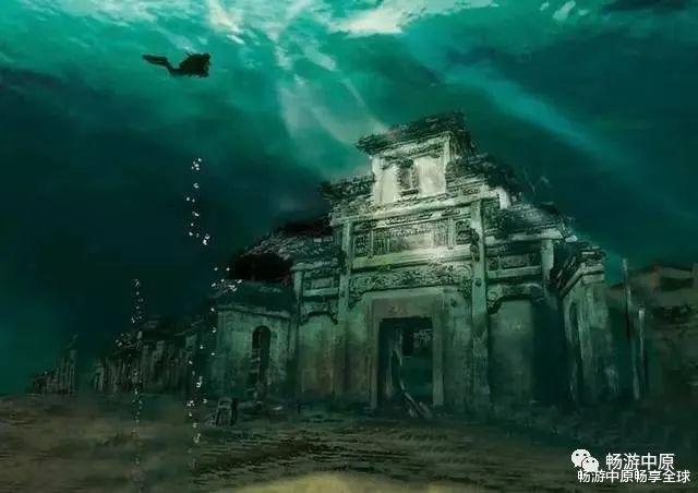 可爱的小考拉